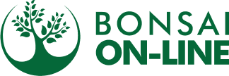 logo Bonsai On-Line - Produtos para Bonsai, vasos de bonsai, ferramentas para bonsai, plantas.