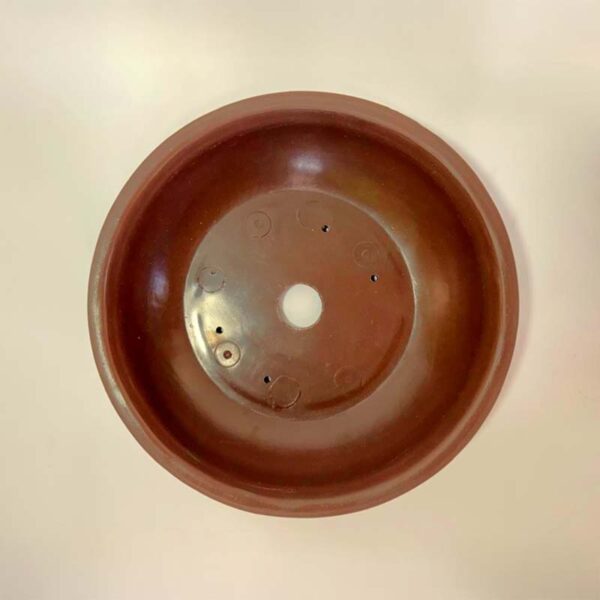 Vaso redondo reforçado para bonsai, ideal para crescimento e engorda