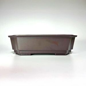 Vaso de plástico para bonsai retangular, 25 x 17,5 x 7 cm com proteção UV