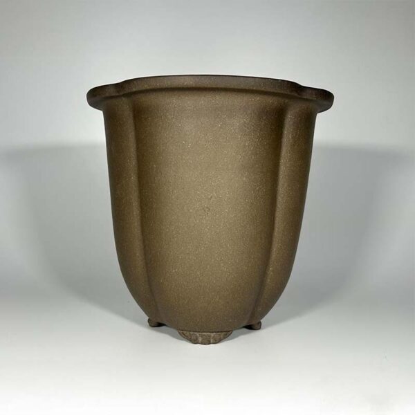 vaso Yixing kengai cascata bonsai