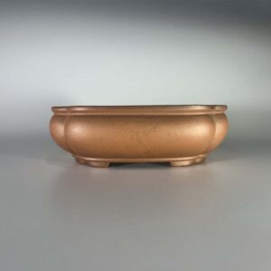 vaso Yixing mokko bonsai importado
