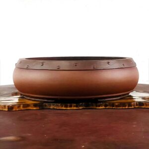 vaso tambor bonsai exclusivo bonsai on-line