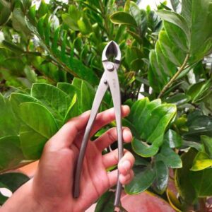 Alicate de corte lateral para bonsai importado vietnã